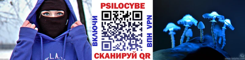 Купить закладки  Нижневартовск  Галлюциногенные грибы мухоморы 